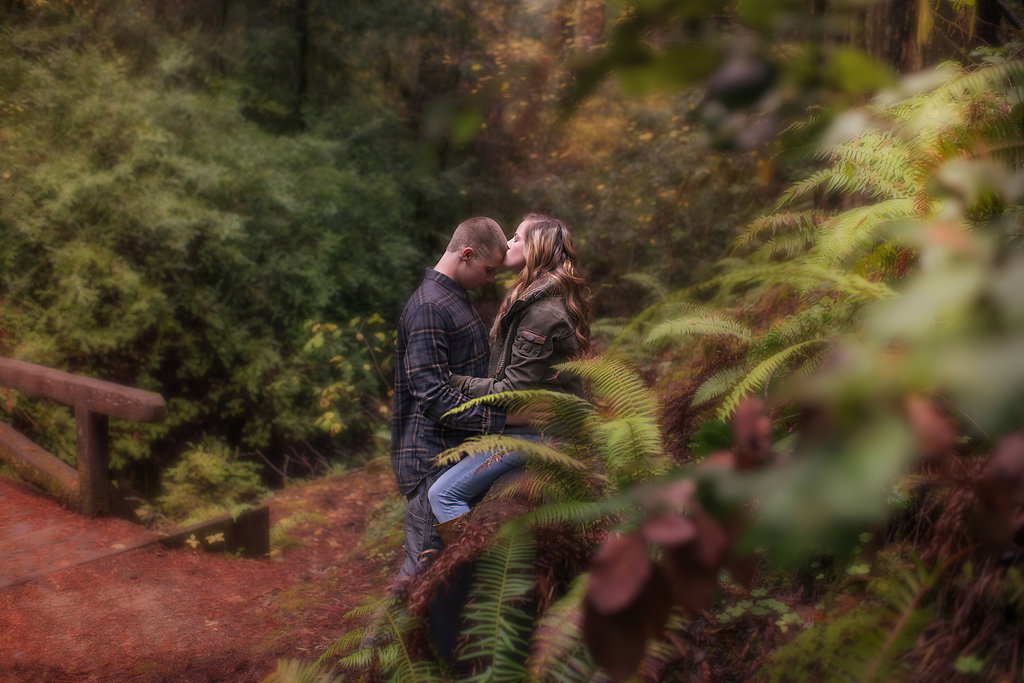 Romantic engagement session in the Avenue of the Giants Redwoods