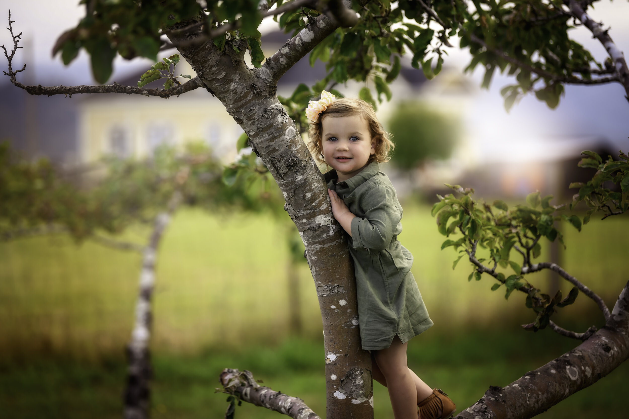 a cute girl in a tree during a Humboldt County family session