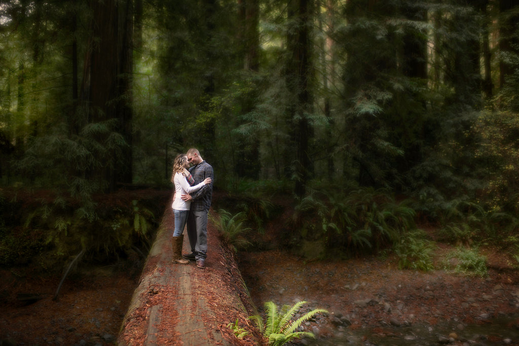 Mark & Kristina|Intimate Redwoods Couples Session 