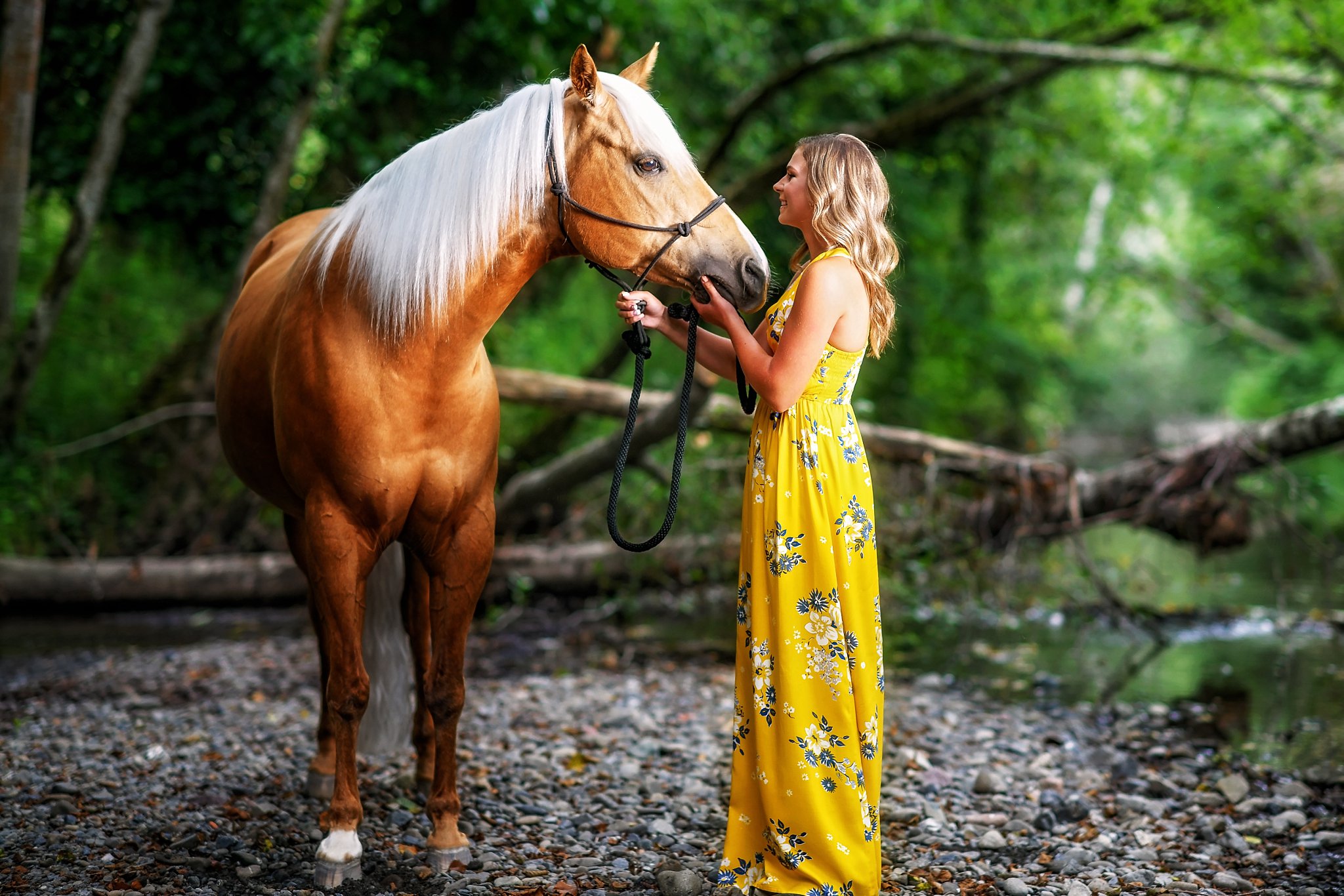 Avary's Horse &amp; Golf Senior Shoot 