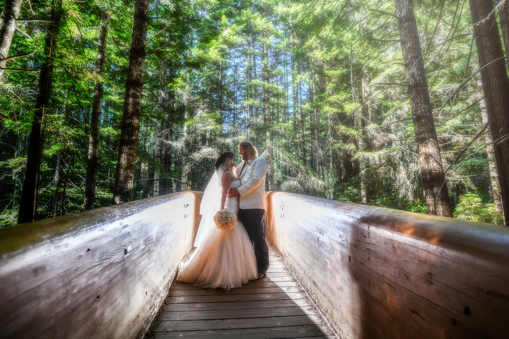 An eloping couple in Redwood National Park