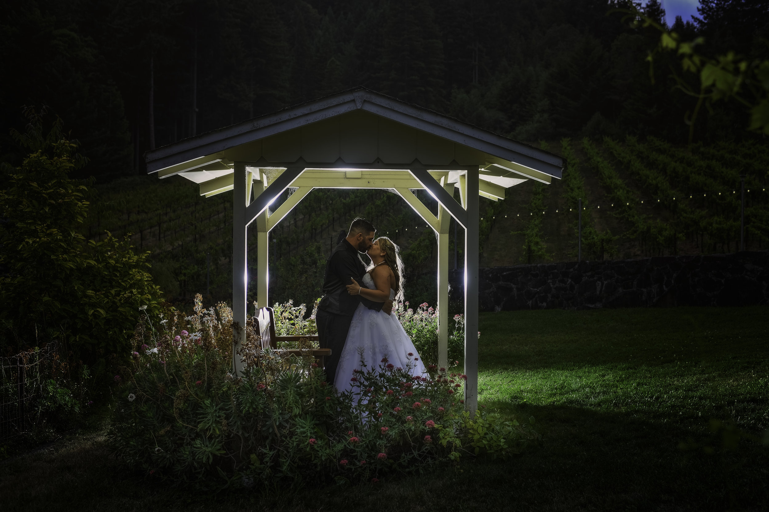 Curtis &amp; Katie's Sunflower Rosina Vineyards Wedding