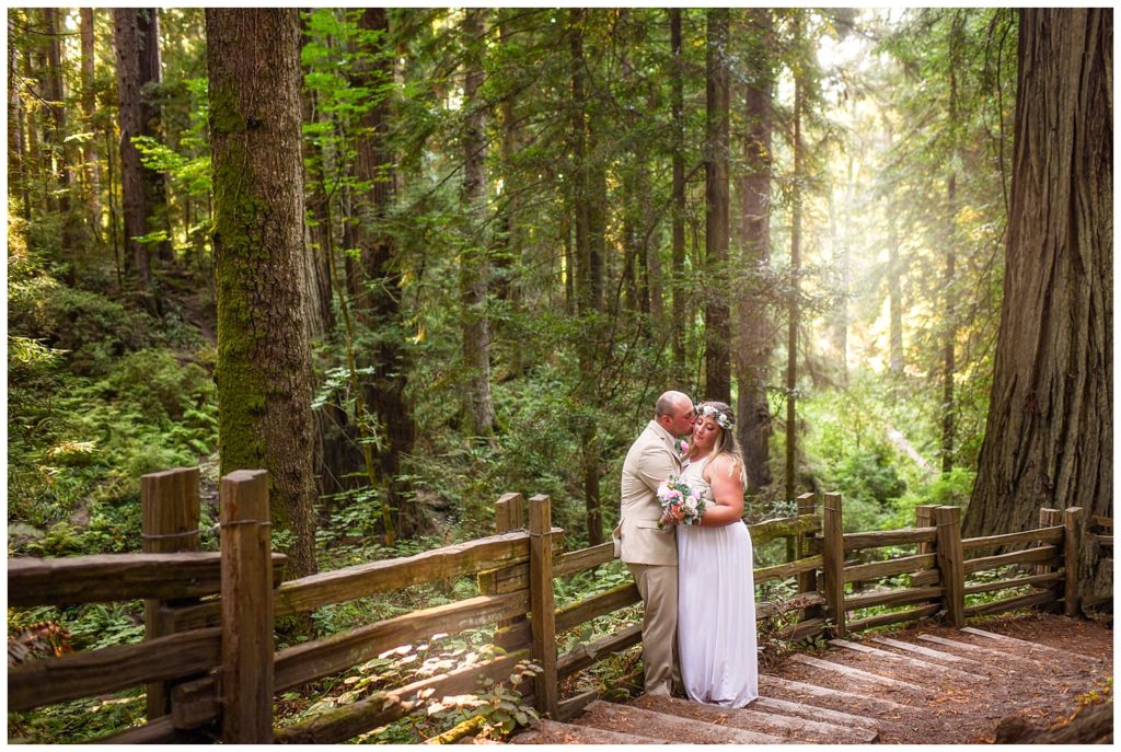 Sequoia Park redwoods elopement 