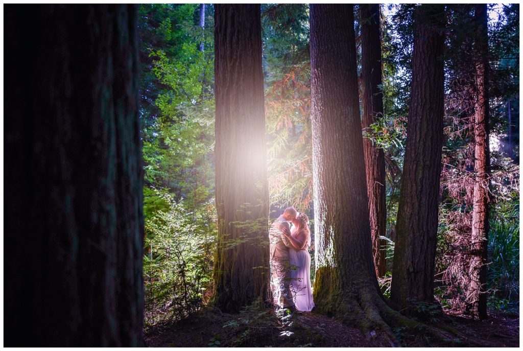 Sequoia Park redwoods elopement 