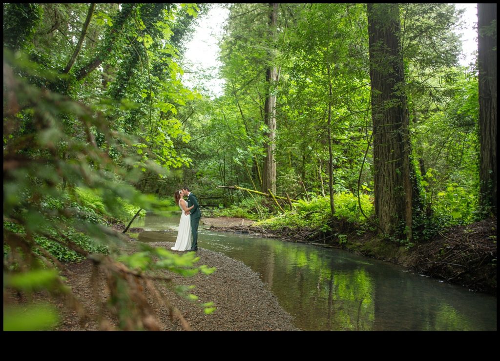 Where should I stay for my redwoods elopement wedding