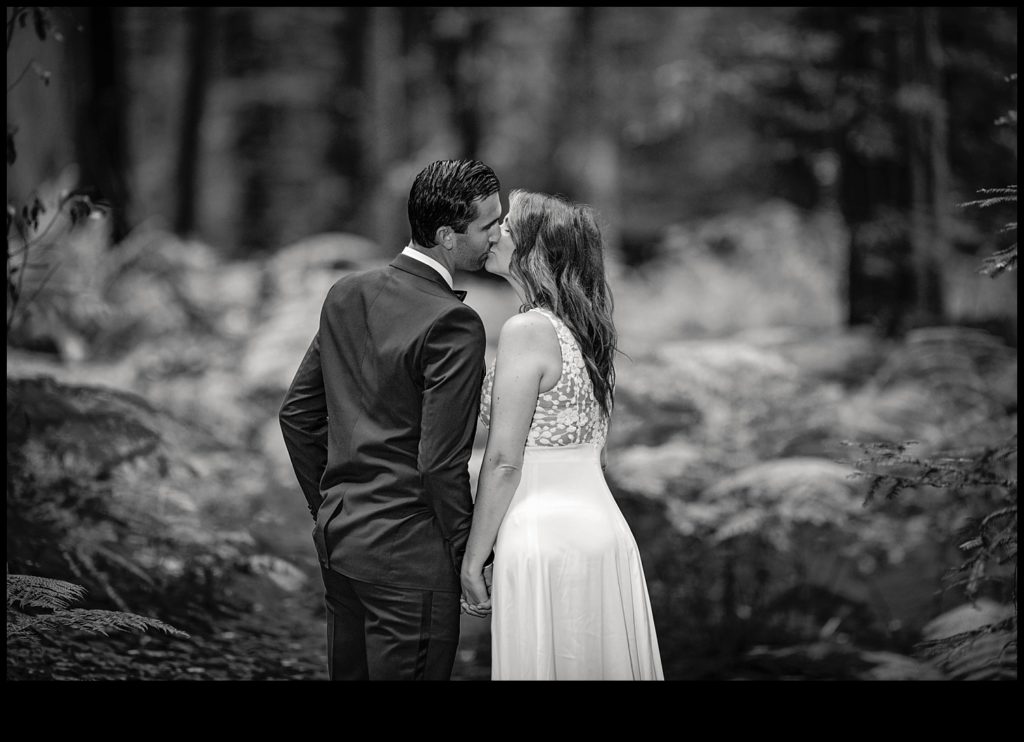 redwood-forest-wedding-pictures