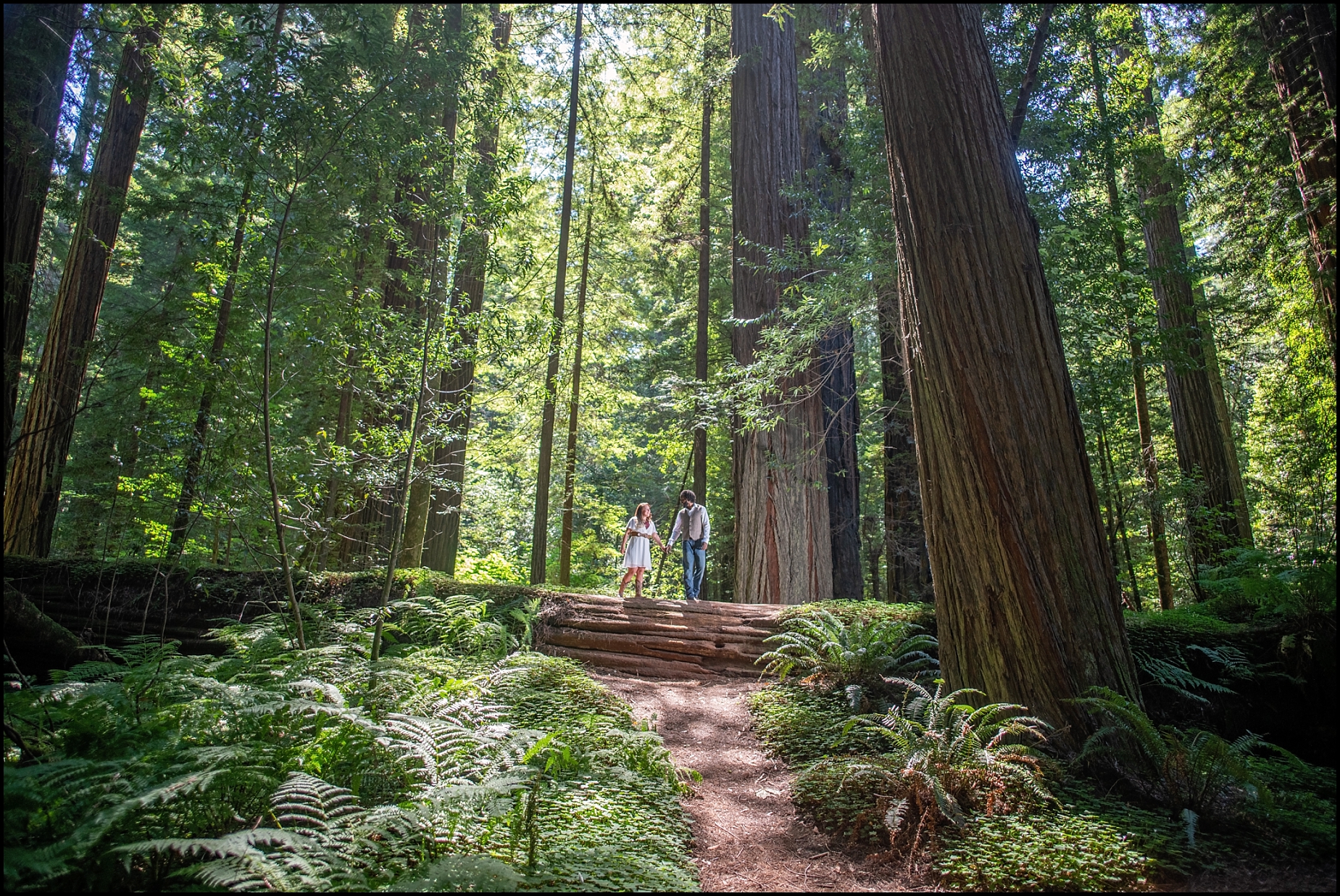Humboldt-Redwoods-State-Park-Couples-Adventure-Session