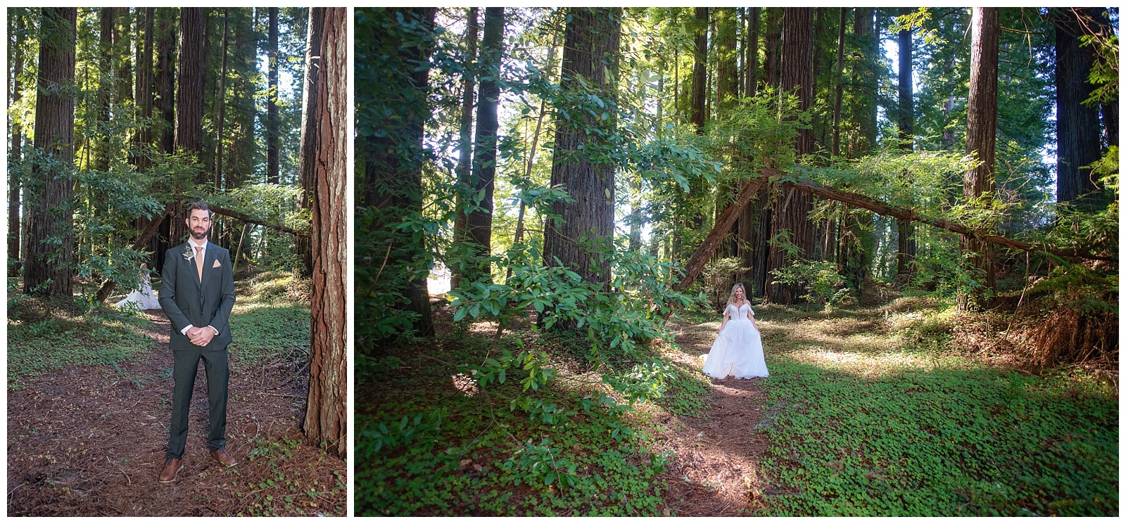 A magical redwoods elopement. 