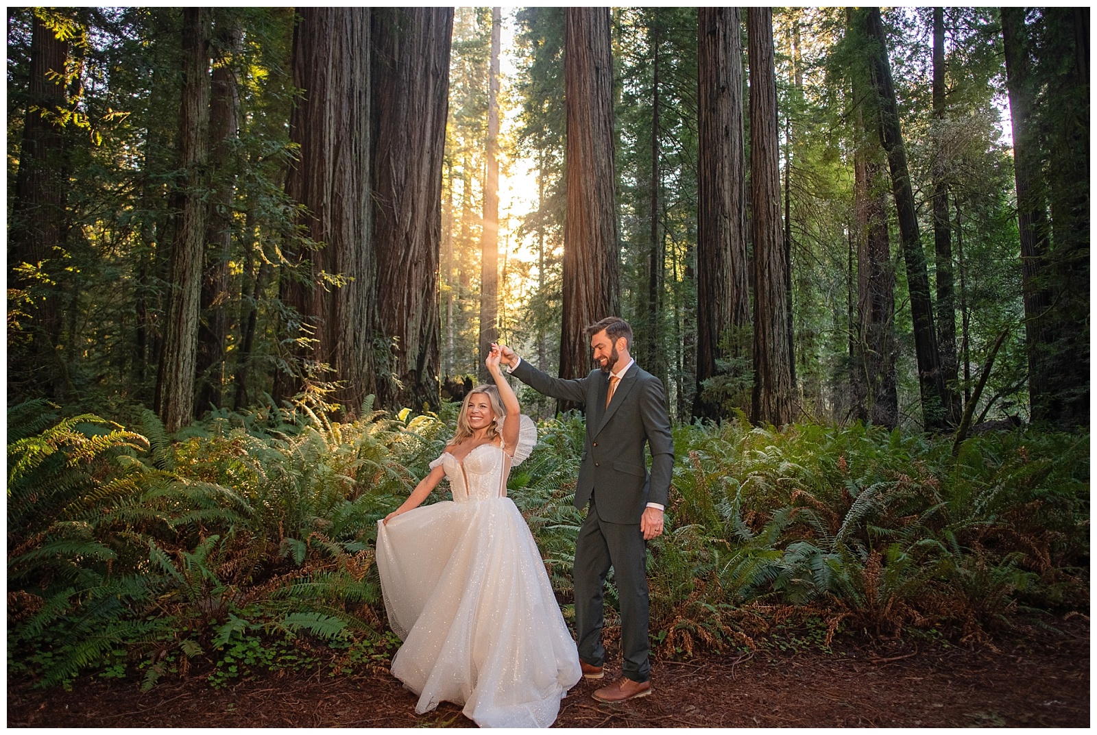 Magical redwoods elopement
