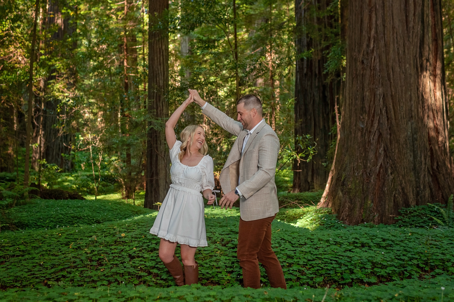 Surprise Proposal in the redwoods 