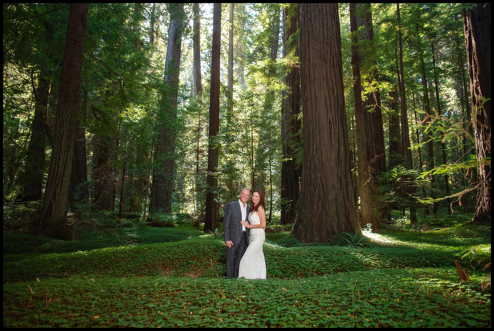 Afternoon elopement in the redwoods