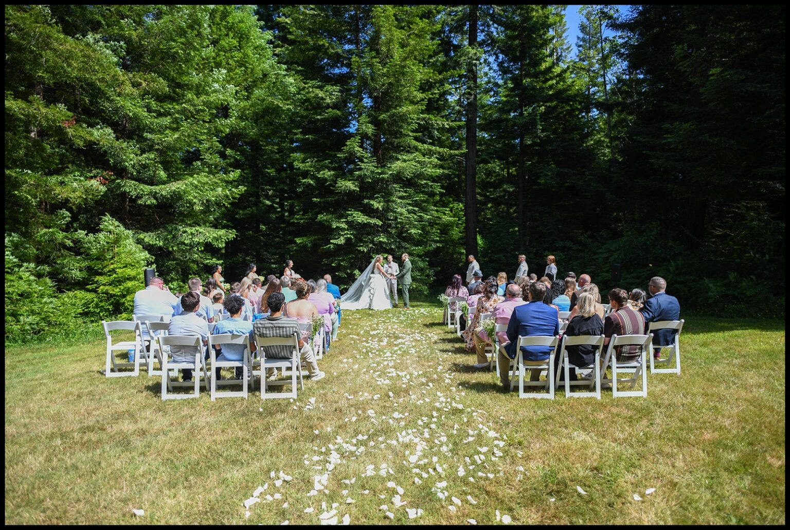 Mitchell Grove gallery photo 3 — Forest Wedding Venue in Eureka, CA